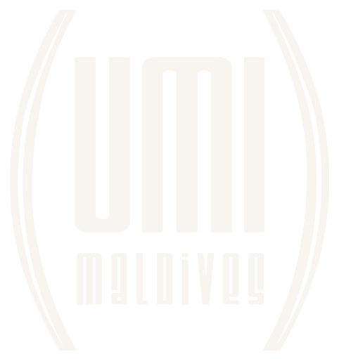 bott logo